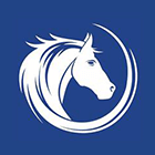 White Horse Surveyors Logo